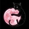 kittylexi420